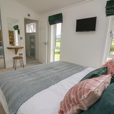 Ash Lodge Llanidloes Eksteriør billede